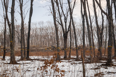 Similar image 18512410