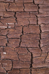 Similar image 18512427