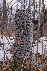 Similar image 18512325