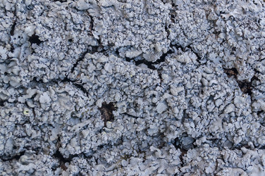 Similar image 18512326