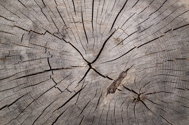 Similar image 18512328