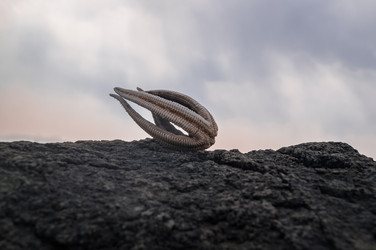 Similar image 18512329