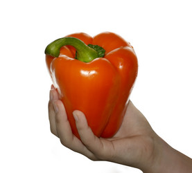 Similar image 17593450