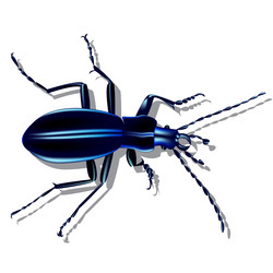 Similar image 18509285