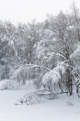 Similar image 17815361