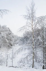 Similar image 17815364