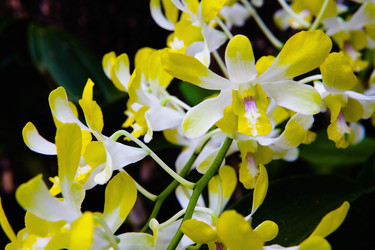 Similar image 17815387