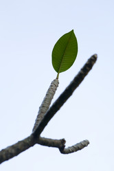 Similar image 17815391