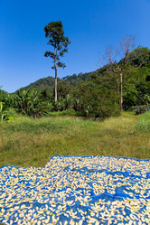 Similar image 17815390