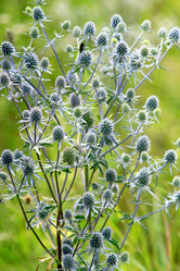 Similar image 18511013