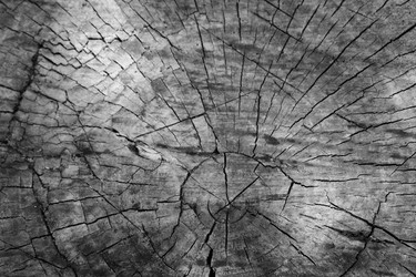 Similar image 18511014