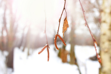 Similar image 18511015