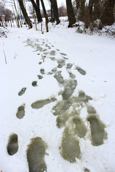 Similar image 18511034