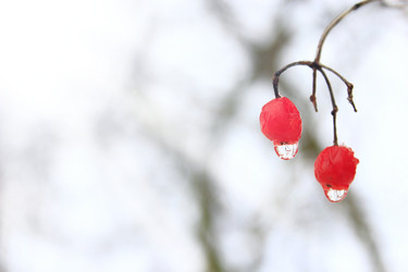 Similar image 18511035