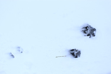 Similar image 18511062