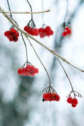 Similar image 18511095