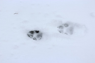 Similar image 18511066