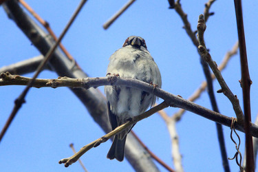 Similar image 18511068