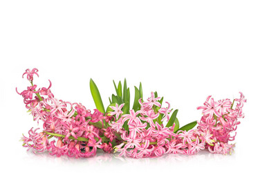 Similar image 18512443