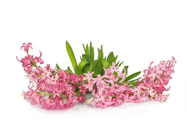 Similar image 18512331