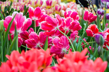 Similar image 18512680