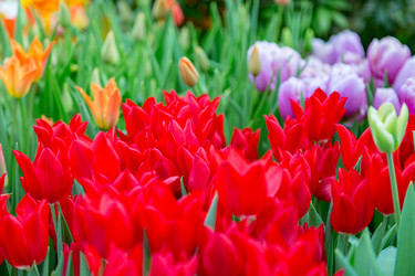 Similar image 18512684