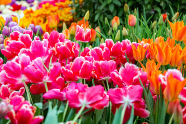 Similar image 18512770