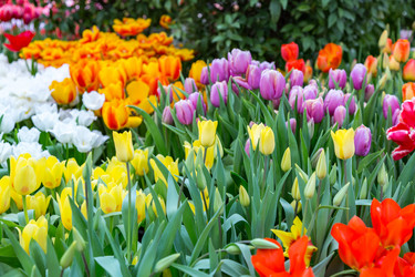 Similar image 18512429