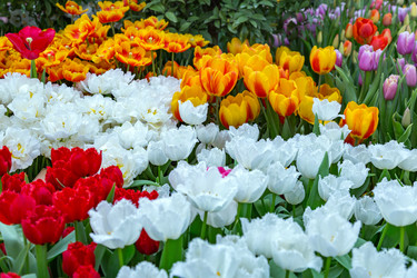 Similar image 18512431