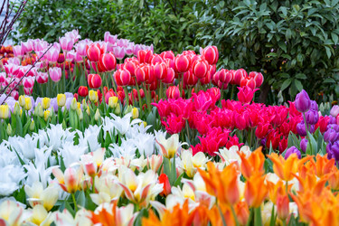 Similar image 18512433