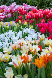 Similar image 18512446