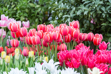 Similar image 18512447