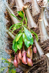 Similar image 18512467