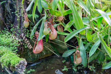 Similar image 18512471