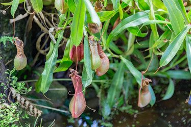 Similar image 18512486