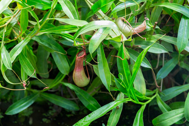 Similar image 18512487