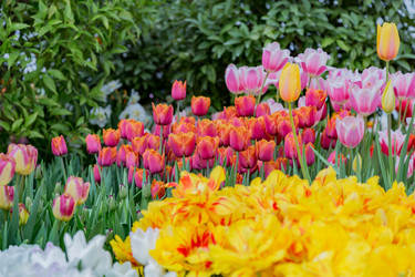 Similar image 18512524