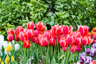 Similar image 18512526