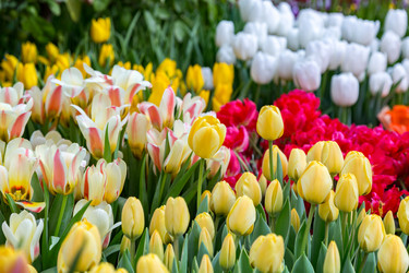 Similar image 18512528