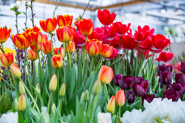 Similar image 18512529