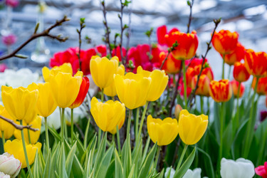 Similar image 18512530