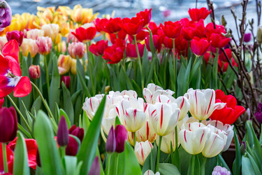 Similar image 18512531