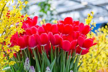 Similar image 18512533