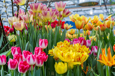 Similar image 18512537