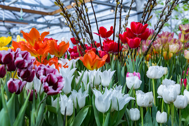 Similar image 18512547