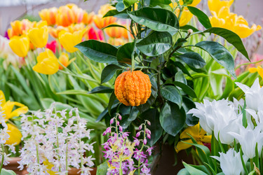 Similar image 18512502