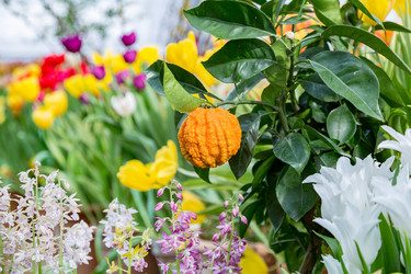 Similar image 18512503