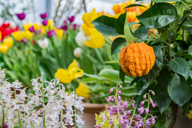 Similar image 18512504