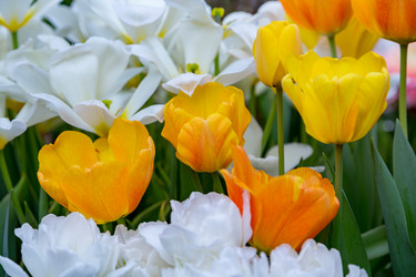 Similar image 18512450