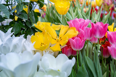 Similar image 18512451